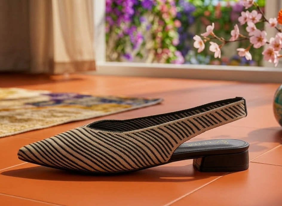 Zapato en punta rayas 36/41